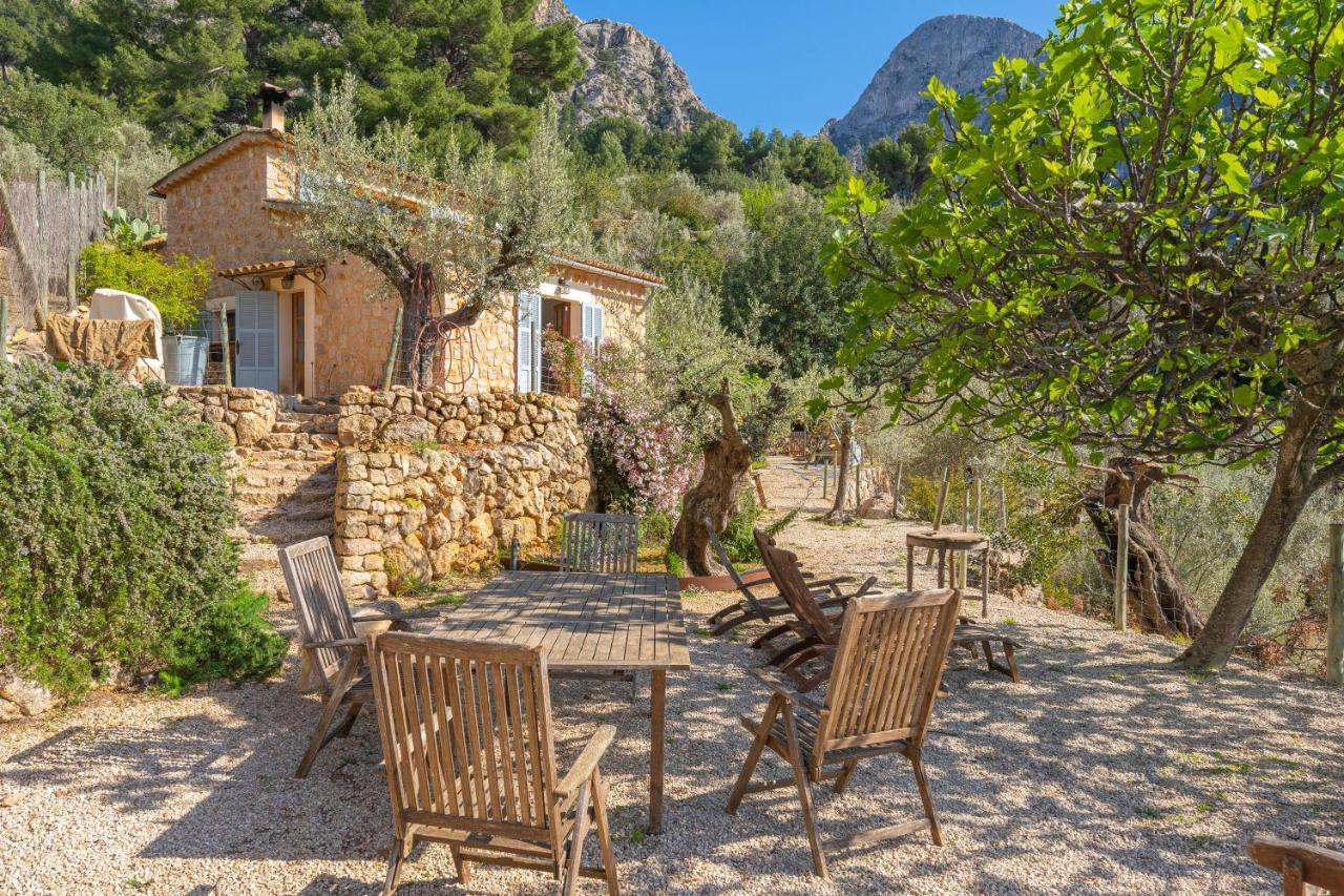 Els Abats Villa Fornalutx Ngoại thất bức ảnh